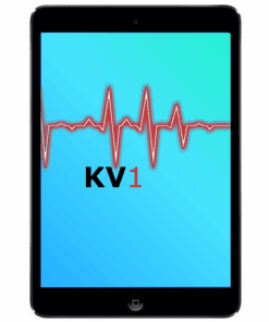 iPad Mini 2 Äusserliche Schadensanalyse KV1