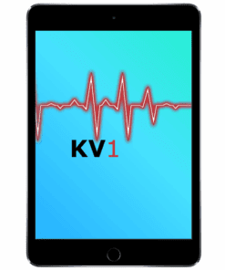 iPad Mini 4 Äußerliche Schadensanalyse KV1