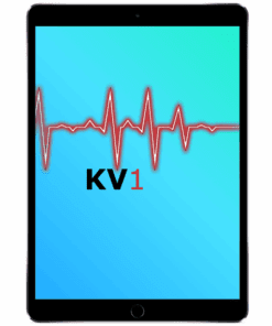 iPad Pro 10,5" Äusserliche Schadensanalyse KV1