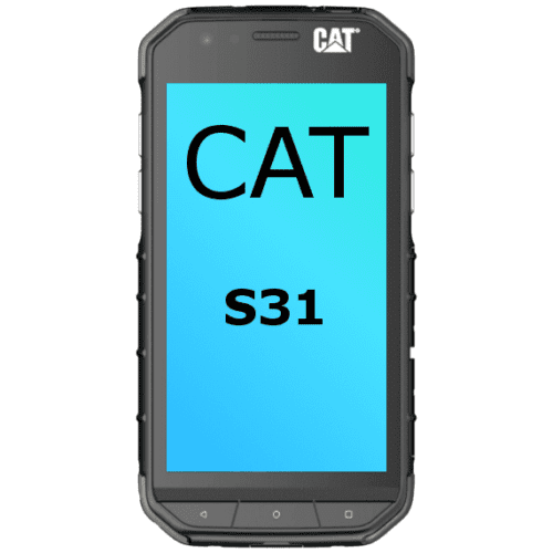 Cat S31