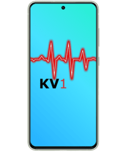 Galaxy S21 FE 5G Äußerliche Schadensanalyse KV1